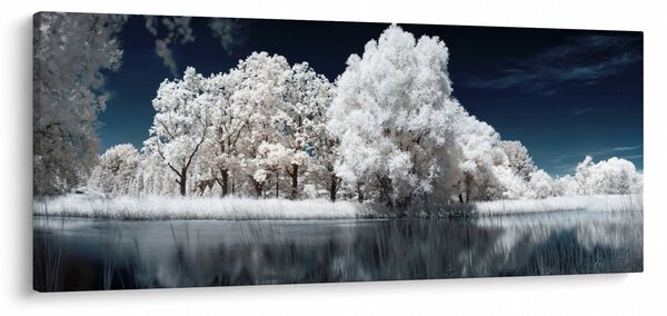 Tablou - Albă ca Zăpada Albă ca Zăpada Copaci (120x50 cm)