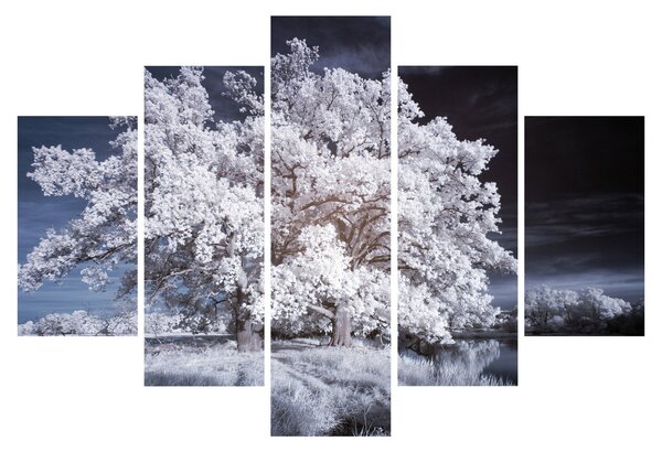 Tablou - Albă ca Zăpada Copac (150x105 cm)