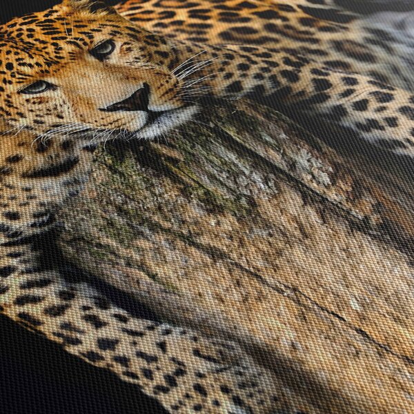 Tablou - Ghepard (90x60 cm)