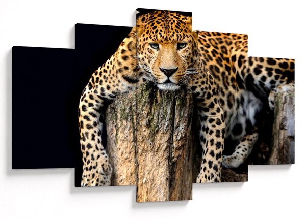 Tablou - Ghepard (150x105 cm)