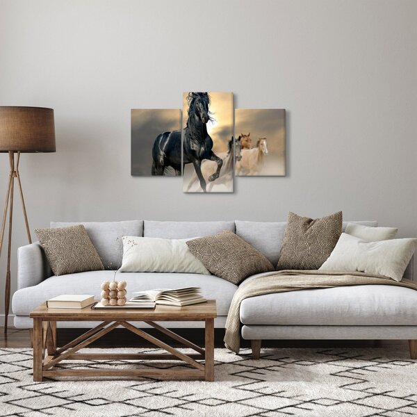 Tablou - Cai (90x60 cm)