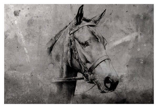 Tablou - Portret de cal (90x60 cm)