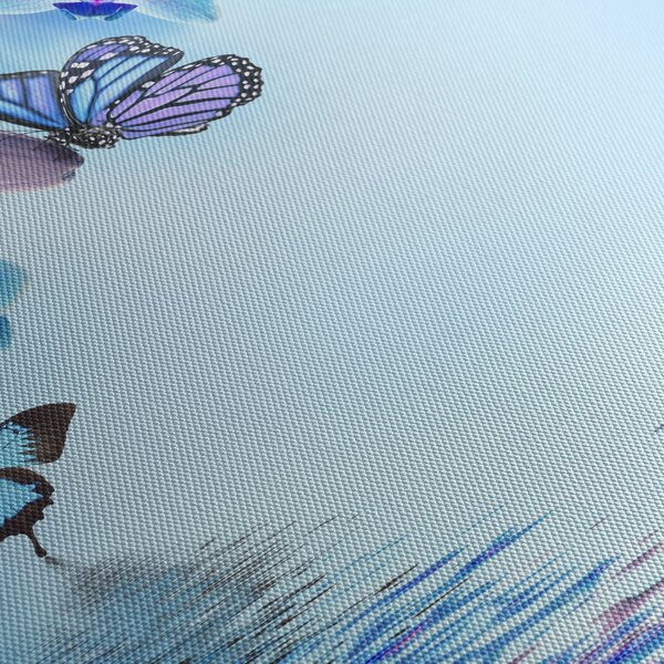 Tablou - Fluture pe flori de orhidee, albastru (70x50 cm)