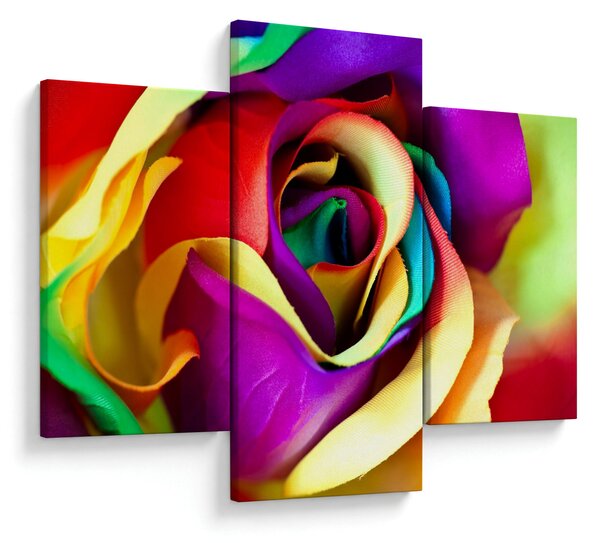 Tablou - Trandafir colorat (90x60 cm)