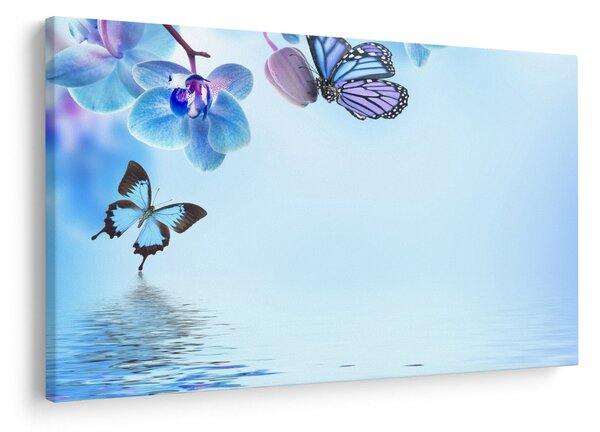 Tablou - Fluture pe flori de orhidee, albastru (90x60 cm)