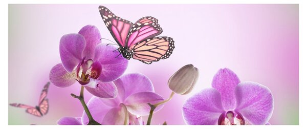 Tablou - Fluture pe flori de orhidee, liliac (120x50 cm)
