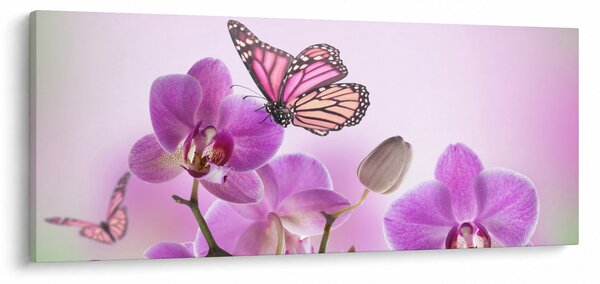 Tablou - Fluture pe flori de orhidee, liliac (120x50 cm)