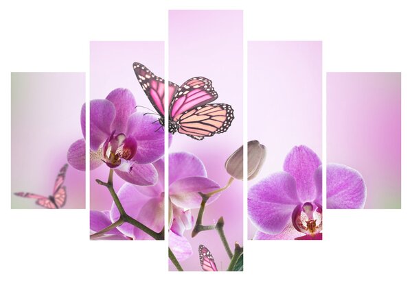 Tablou - Fluture pe flori de orhidee, liliac (150x105 cm)