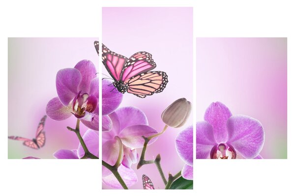 Tablou - Fluture pe flori de orhidee, liliac (90x60 cm)