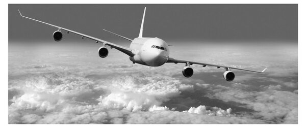 Tablou - Avion în nori, alb și negru (120x50 cm)