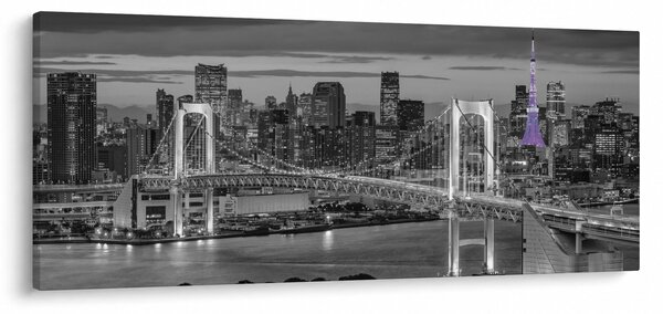 Tablou - Orașul mare cu turnul mov (120x50 cm)
