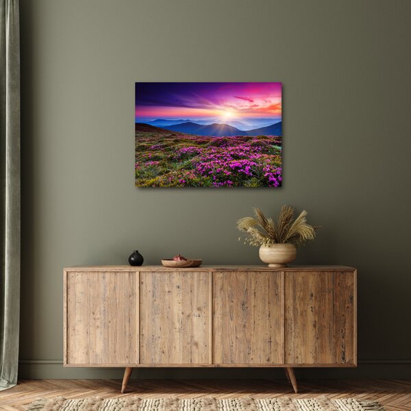Tablou - Munte înflorit peisaj (70x50 cm)
