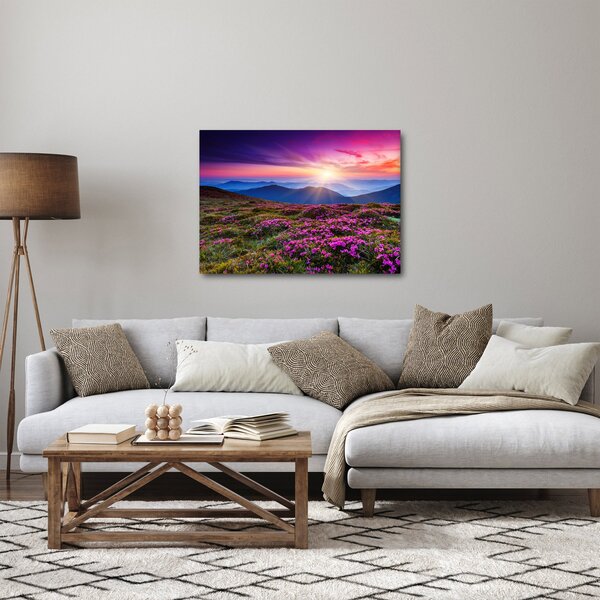 Tablou - Munte înflorit peisaj (70x50 cm)