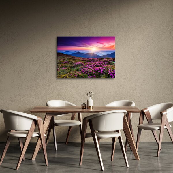Tablou - Munte înflorit peisaj (70x50 cm)