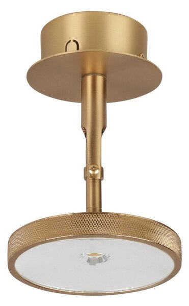 Plafoniere UMAGE, Asteria Spot, reglabil, Auriu / Alamă, Camera de zi, Metal, Design
