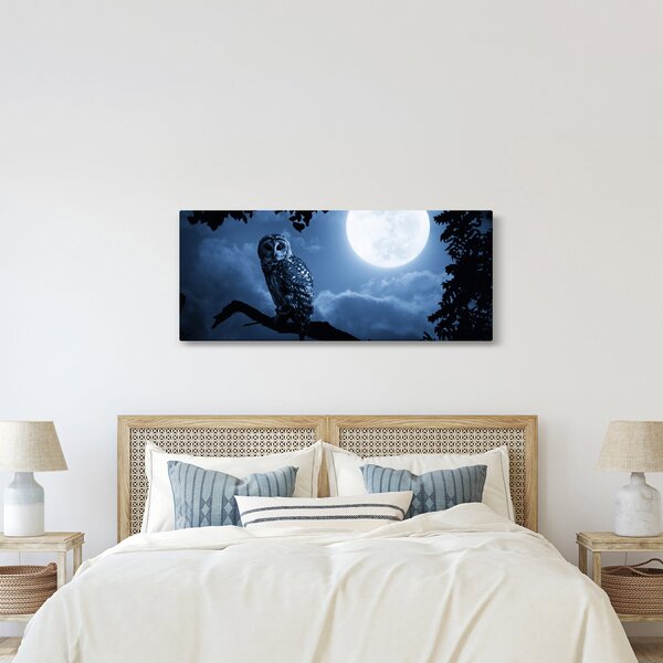 Tablou - Bufnița de noapte (120x50 cm)