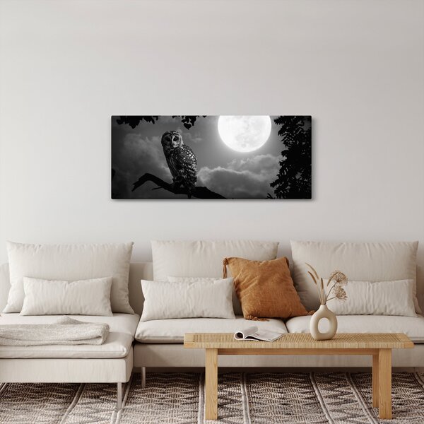 Tablou - Bufniță de noapte, alb și negru (120x50 cm)