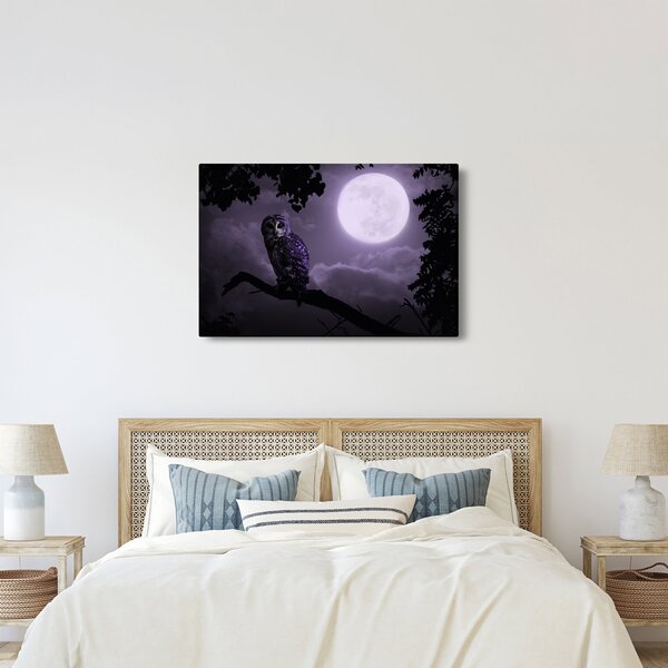 Tablou - Bufniță de noapte, violet (90x60 cm)