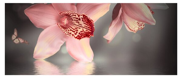 Tablou - Flori și fluture (120x50 cm)