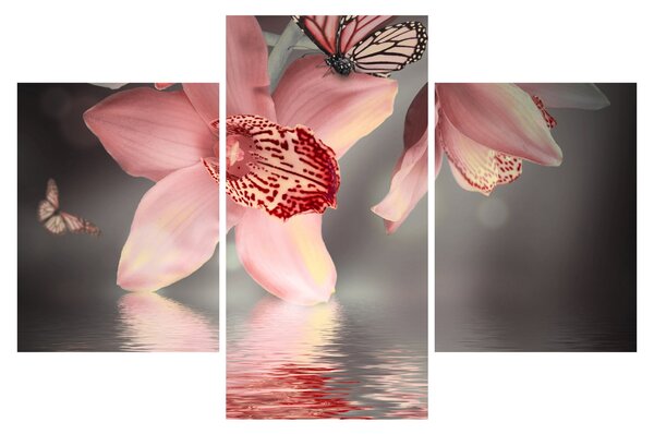 Tablou - Flori și fluture (90x60 cm)