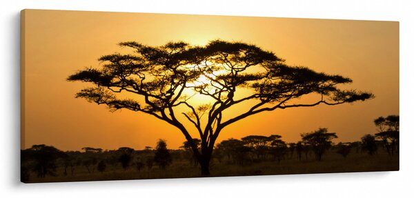Tablou - Savana africană (120x50 cm)