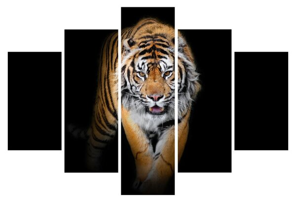 Tablou - Tiger (150x105 cm)