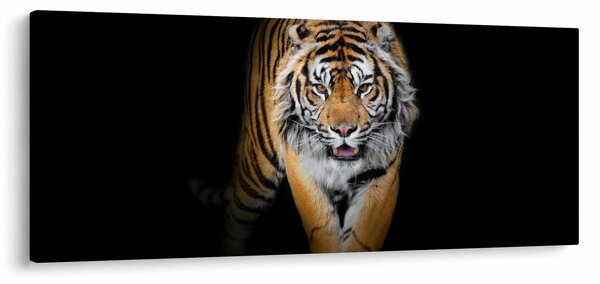 Tablou - Tiger (120x50 cm)