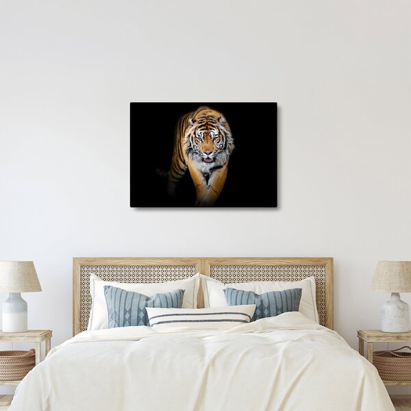 Tablou - Tiger (70x50 cm)