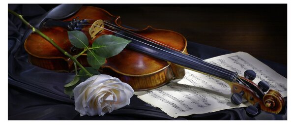 Tablou - Trandafiri și vioară (120x50 cm)