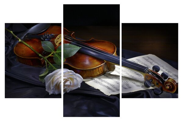 Tablou - Trandafiri și vioară (90x60 cm)