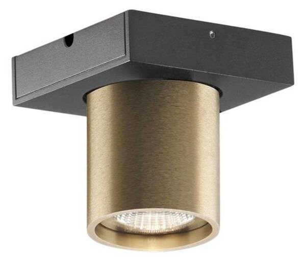 Plafoniere LIGHT-POINT, reglabil, Auriu / Alamă, Camera de zi, Aluminiu