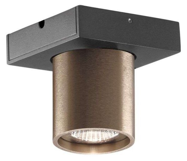 Plafoniere LIGHT-POINT, reglabil, Bronz / Alamă Veche, Camera de zi, Aluminiu