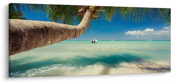 Tablou - Mare curată cu palmier (120x50 cm)