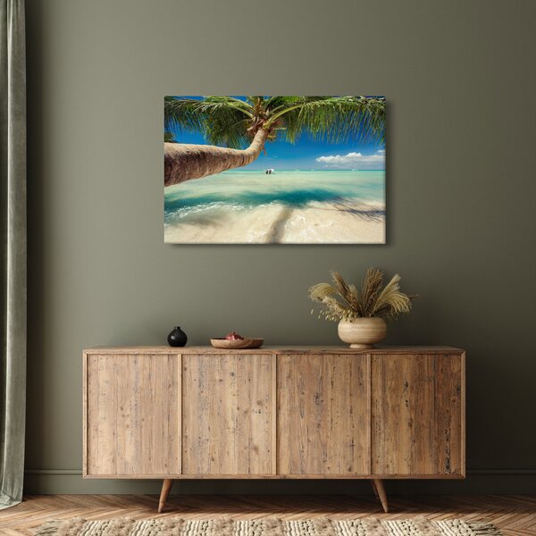 Tablou - Mare curată cu palmier (90x60 cm)