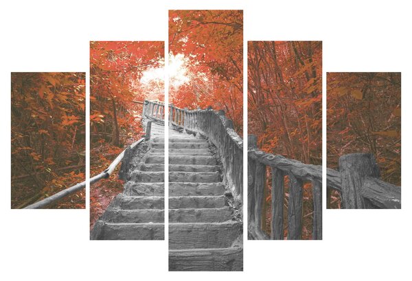 Tablou - Scări în natură, portocaliu (150x105 cm)