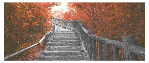 Tablou - Scări în natură, portocaliu (120x50 cm)