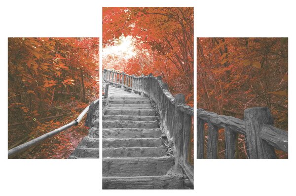 Tablou - Scări în natură, portocaliu (90x60 cm)