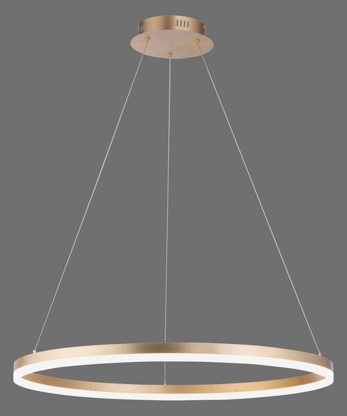 Paul Neuhaus Lampă suspendată LED Titus, Ø 80 cm, alamă, dimabil, reglabil, Auriu / Alamă, Camera de zi / sufragerie, Metal, Modern