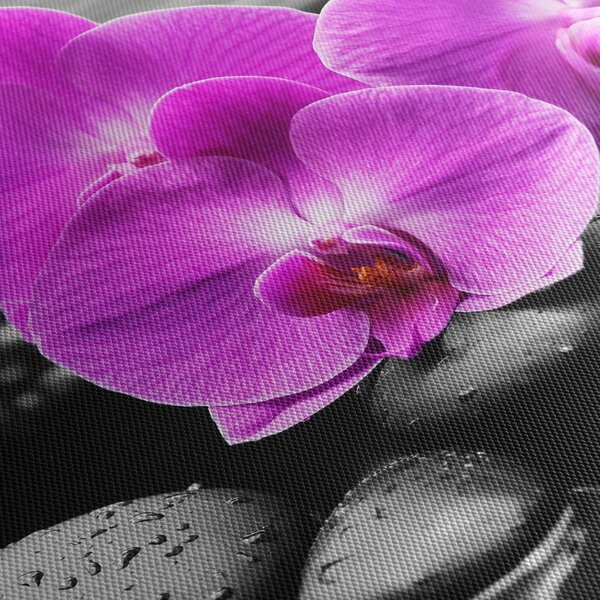 Tablou - Orhidee violet (90x60 cm)