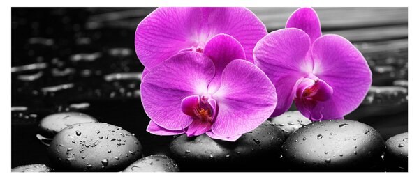 Tablou - Orhidee violet (120x50 cm)