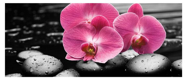 Tablou - Orhidee roz (120x50 cm)