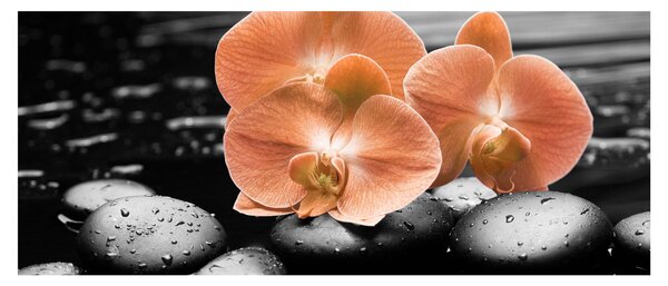 Tablou - Orhidee portocalii (120x50 cm)