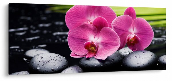 Tablou - Orhidee roz cu frunze de palmier (120x50 cm)