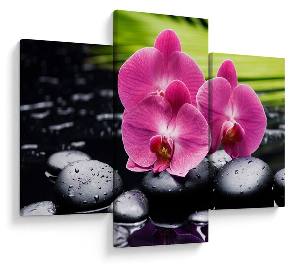 Tablou - Orhidee roz cu frunze de palmier (90x60 cm)