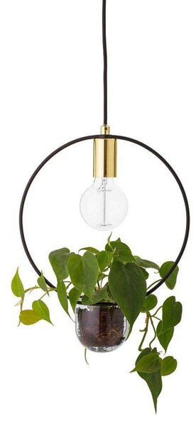 Lustră Pendul Bloomingville, Auriu / Alamă, Camera de zi, Metal