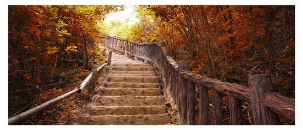 Tablou - Scări în natură în toamnă (120x50 cm)