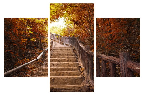 Tablou - Scări în natură în toamnă (90x60 cm)