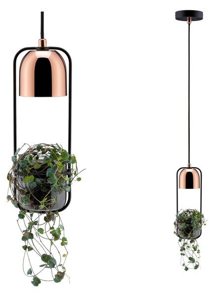Paulmann lampă suspendată Fanja cu ghiveci plante, reglabil, Negru, Camera de zi / sufragerie, Metal, Modern