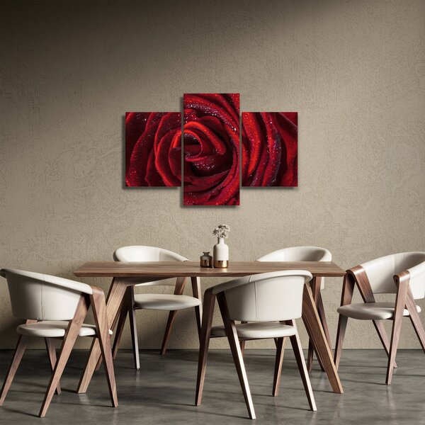 Tablou - Trandafir roșu cu picături de rouă (90x60 cm)