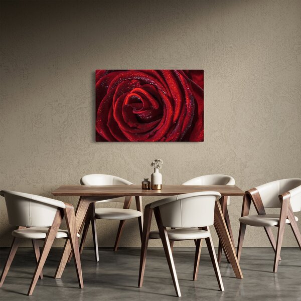 Tablou - Trandafir roșu cu picături de rouă (90x60 cm)
